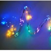 Abcled.ee - Decorative Christmas lights RGB 200led 1mx20pcs 220V