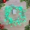 Led Christmas lights 100led 6m GREEN  with controller