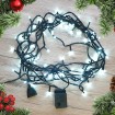 Abcled.ee - Led Christmas lights 100Led 6,5m COLD with