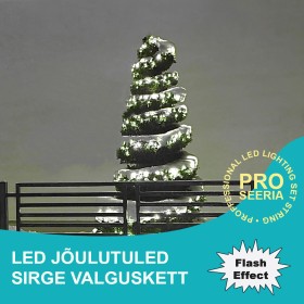 LED flash string Christmas lights PRO COLD 100LED 12m IP65 230V