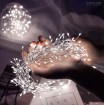 Decorative Christmas lights COLD 100led 3m with controller 220V