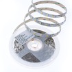 Abcled.ee - LED Riba CW+WW 2in1 5050smd 360lm 60Led/m 14.4W/m