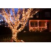 Abcled.ee - Led outdoor Christmas lights PROF 100Led 10m IP65