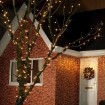 Abcled.ee - Led outdoor Christmas lights FLASH 50Led 5m IP44